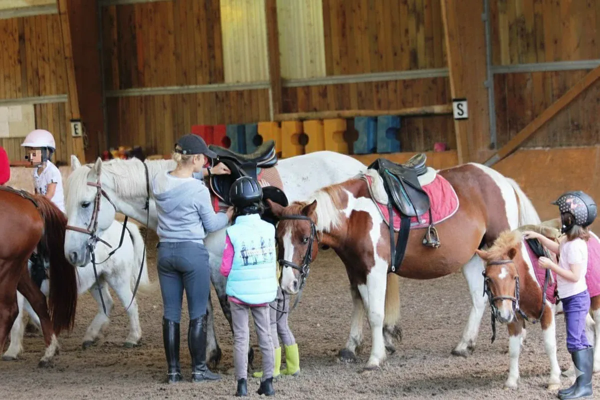 Animateur d'Équitation